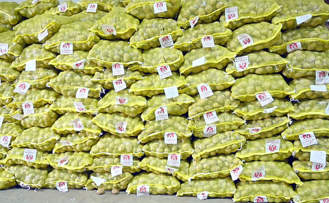 M S International 25kg potato bags
&nbsp;
