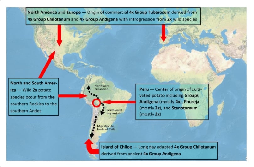 Potatoes spreading around the world - with some of their key genetic characteristics Potatoes spreading around the world - with some of their key genetic characteristics