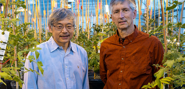 MSU professors Jiming Jiang and David Douches. (Courtesy: MSU)