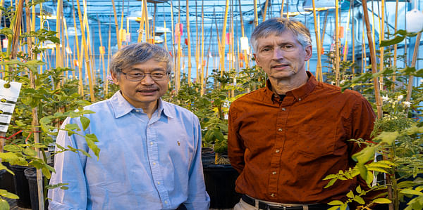 MSU professors Jiming Jiang and David Douches. (Courtesy: MSU)