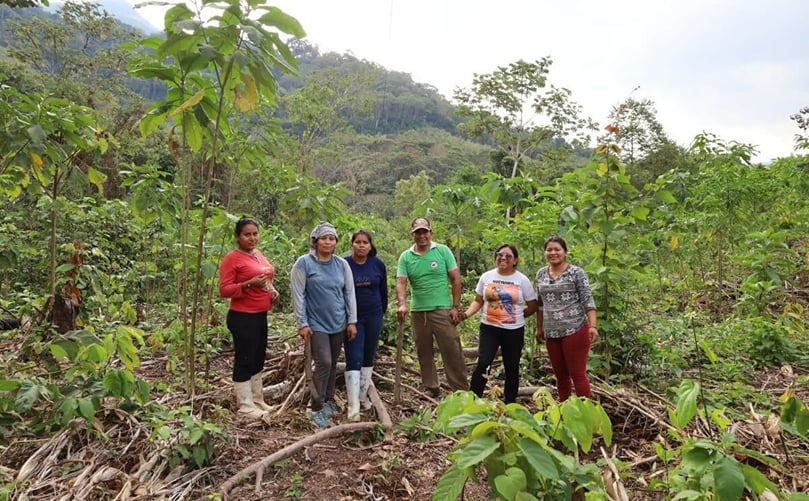 Planting the magona potato is an ecological and sustainable process: It uses neither agrochemicals nor machinery. (Courtesy: Conservation International Peru)