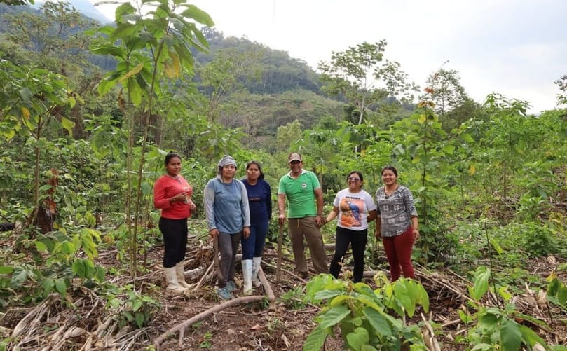 Planting the magona potato is an ecological and sustainable process: It uses neither agrochemicals nor machinery. (Courtesy: Conservation International Peru)