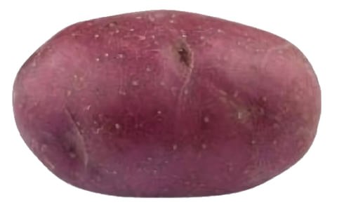 Mulberry Beauty Mulberry Beauty