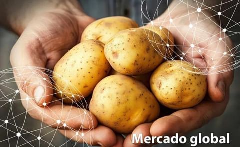 Mundo: el clima y las patatas Mundo: el clima y las patatas