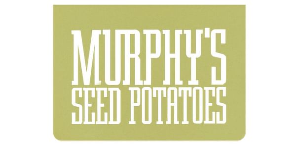 Murphy's Seed Potatoes