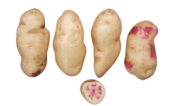 MURU CHINA MURU CHINA