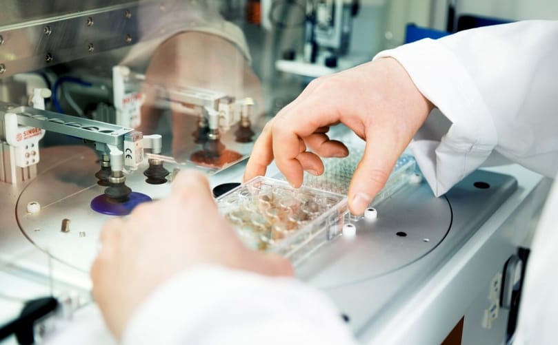 At the Mycoverse Lab