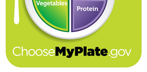  The New Food Plate: MyPlate