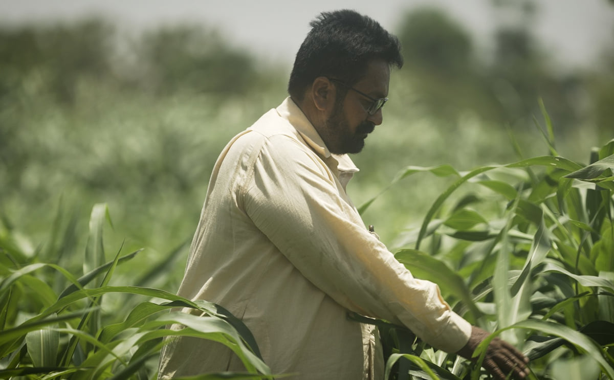 PepsiCo Announces Second Round of Projects Funded by Its Global Agriculture Accelerator, The Positive Agriculture Outcomes Fund PepsiCo Announces Second Round of Projects Funded by Its Global Agriculture Accelerator, The Positive Agriculture Outcomes Fund