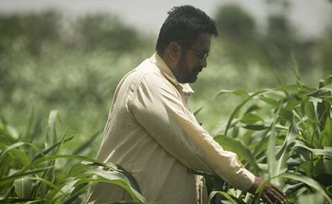Nadinger Singh, a grower for PepsiCo Nadinger Singh, a grower for PepsiCo