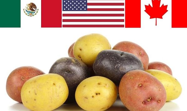 US Potato Growers offer Trump suggestions to improve NAFTA