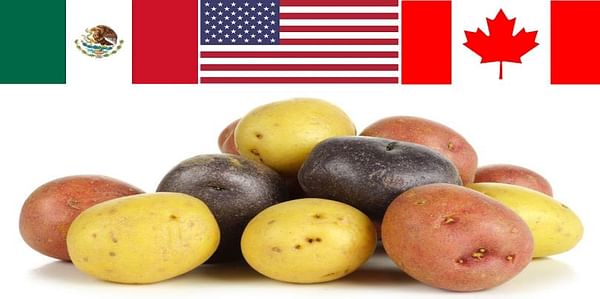 US Potato Growers offer Trump suggestions to improve NAFTA