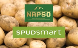 NAPSO and Spud Smart present a expert-led webinar on Dec. 17, focusing on diagnosing and managing key mid-storage potato challenges.