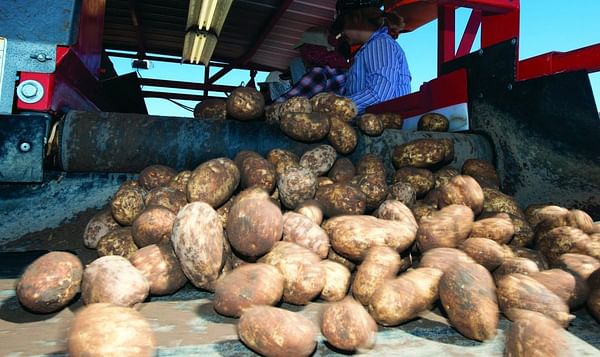 National Potato Council Applauds Reintroduction of Farm Workforce Modernization Act