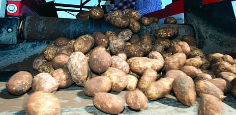 National Potato Council Applauds Reintroduction of Farm Workforce Modernization Act