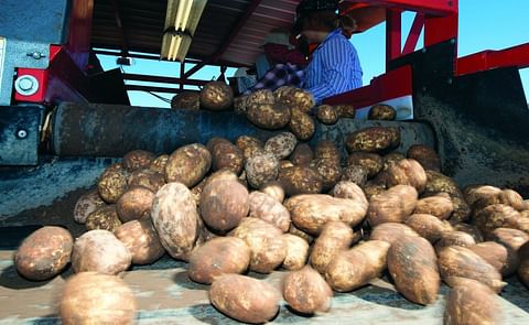 National Potato Council Applauds Reintroduction of Farm Workforce Modernization Act National Potato Council Applauds Reintroduction of Farm Workforce Modernization Act