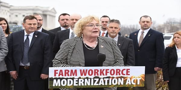 National Potato Council Cheers Bipartisan House Passage of Farm Workforce Modernization Act