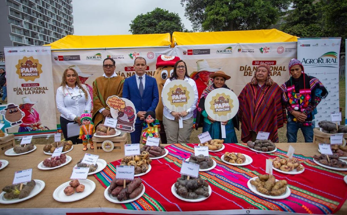 Agrarian Development Min: We want Peruvian native potatoes to conquer new markets Agrarian Development Min: We want Peruvian native potatoes to conquer new markets