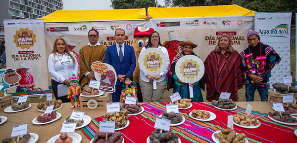 Agrarian Development Min: We want Peruvian native potatoes to conquer new markets