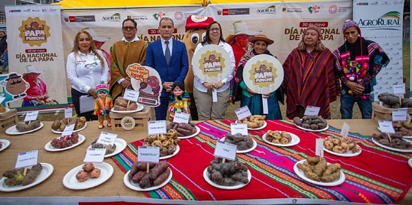 Agrarian Development Min: We want Peruvian native potatoes to conquer new markets