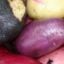 Native Potatoes
