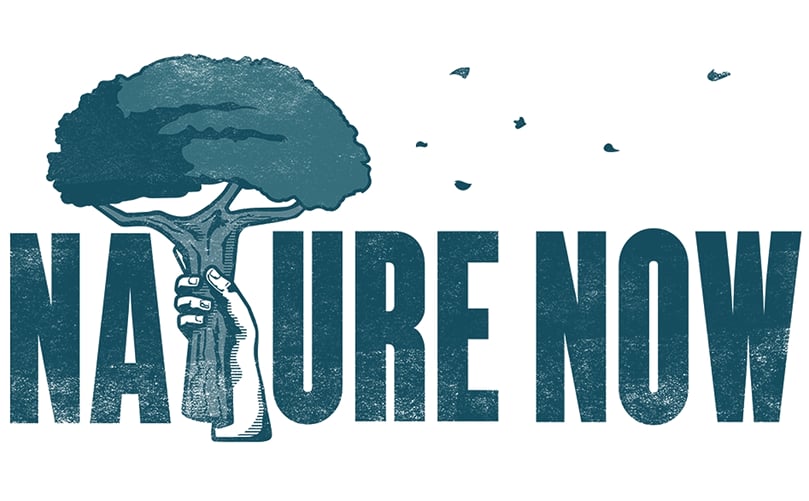 Nature Now Nature Now