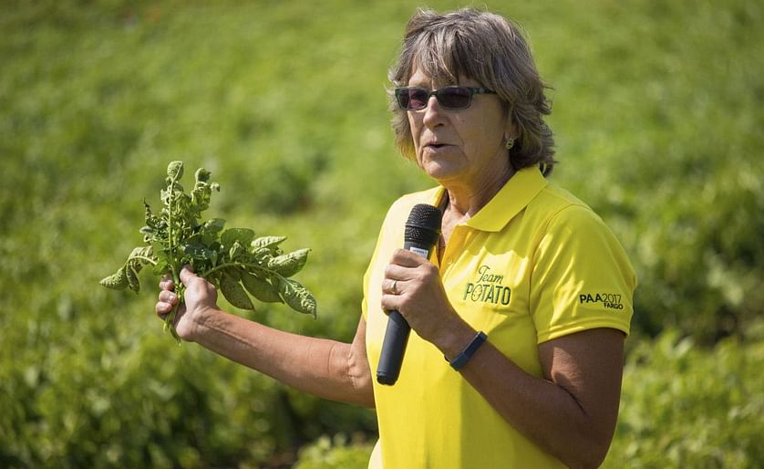 NDSU Professor Harlene Hatterman-Valenti  talking about her research into the effects of the herbicides dicamba and glyphosate on potatoes. One of her findings is that weather can affect the level of harm done to potatoes by dicamba.