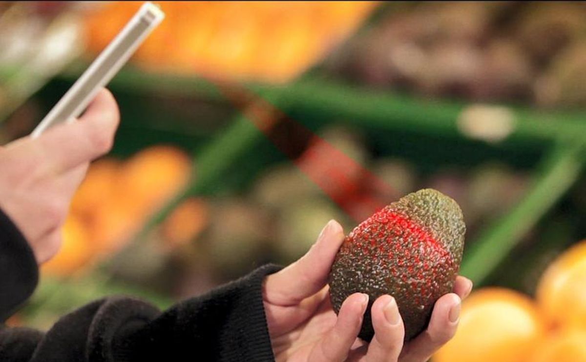 Near infrared spectral analysis for mobile applications for on-site food freshness testing Near infrared spectral analysis for mobile applications for on-site food freshness testing