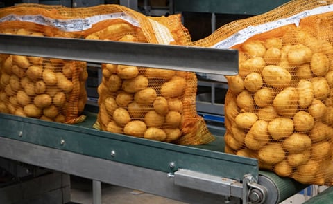 Nedato offers packed potatoes for export in a wide range of formats. The picture shows a large size polynet. Nedato offers packed potatoes for export in a wide range of formats. The picture shows a large size polynet.