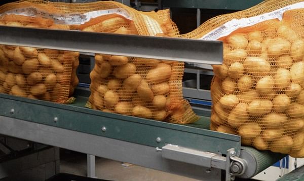 Improving potato quality results in export opportunities for Nedato.