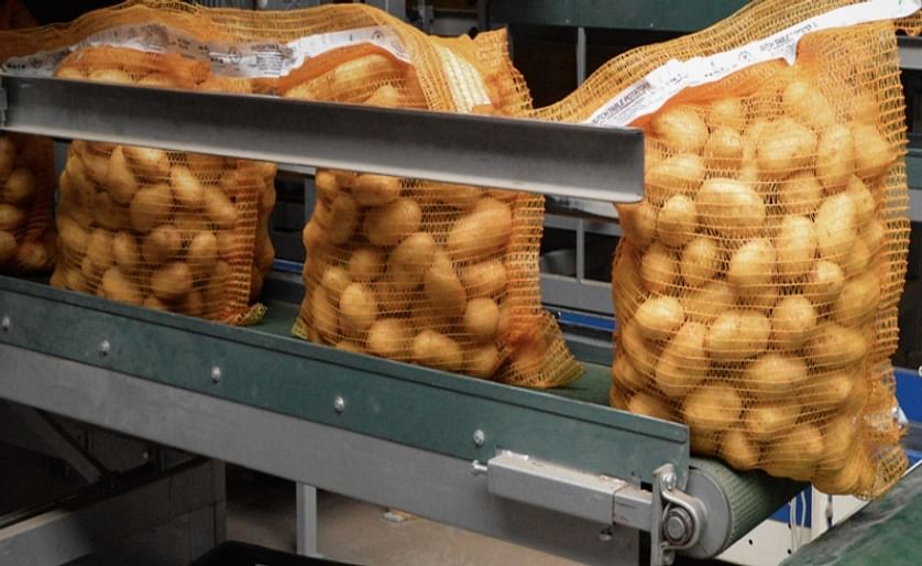 Nedato offers packed potatoes for export in a wide range of formats. The picture shows a large size polynet.