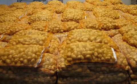 Heero Gramsma, Managing Director Nedato: 'The market is tight, and it has every reason to be so, considering the published harvesting figures in Europe.' Heero Gramsma, Managing Director Nedato: 'The market is tight, and it has every reason to be so, considering the published harvesting figures in Europe.'