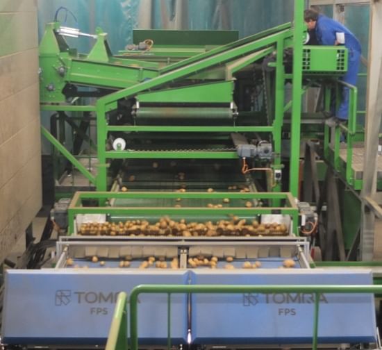 Overview of the upgraded potato sorting at Nedato B.V.