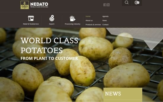 Nedato launches a new website and corporate identity