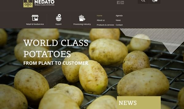 The  New Nedato Website