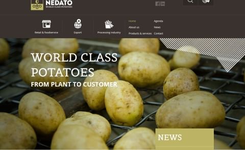 Nedato launches a new website and corporate identity Nedato launches a new website and corporate identity