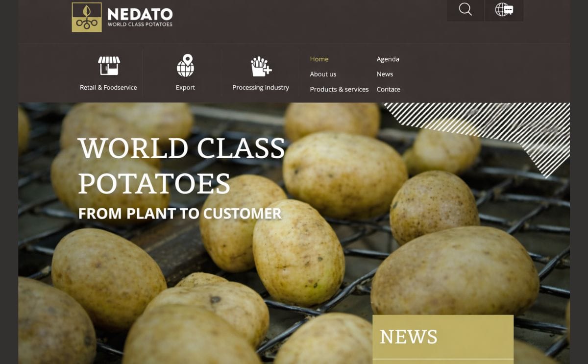 Nedato launches a new website and corporate identity