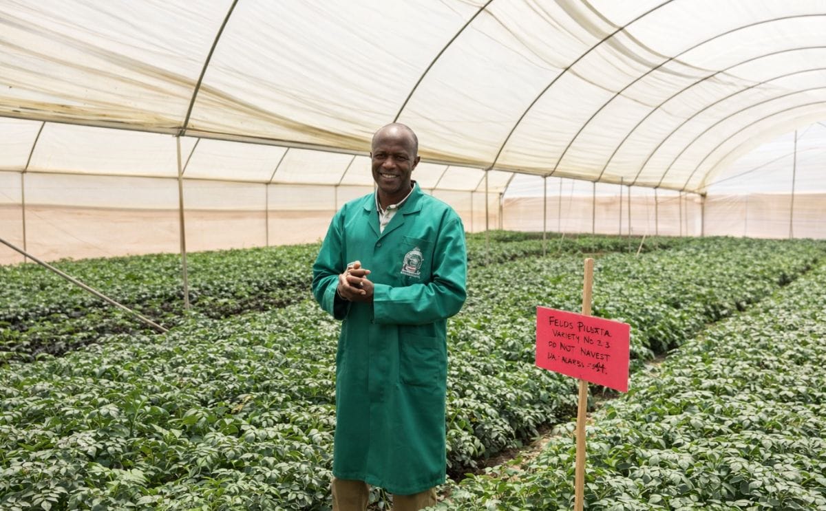 España promueve la innovación de la cadena de la papa en África