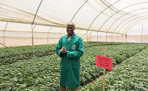 España promueve la innovación de la cadena de la papa en África España promueve la innovación de la cadena de la papa en África