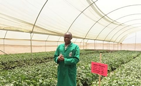 España promueve la innovación de la cadena de la papa en África España promueve la innovación de la cadena de la papa en África