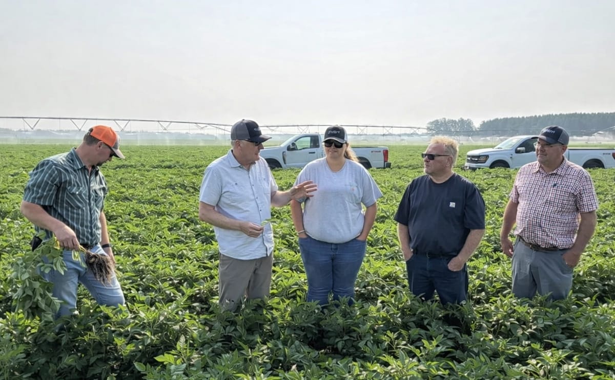 Dr. Neil Gudmestad speaks with members of the R.D. Offutt research team during a research trial near Staples. Pictured from left are RDO Farm Manager Nate Warmbold, Gudmestad, RDO Agronomist Annika Merkens, RDO Farm Manager Jake Jacobson and RDO Agronomis Dr. Neil Gudmestad speaks with members of the R.D. Offutt research team during a research trial near Staples. Pictured from left are RDO Farm Manager Nate Warmbold, Gudmestad, RDO Agronomist Annika Merkens, RDO Farm Manager Jake Jacobson and RDO Agronomis