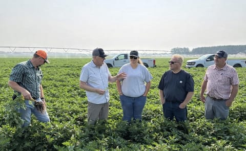 Dr. Neil Gudmestad speaks with members of the R.D. Offutt research team during a research trial near Staples. Pictured from left are RDO Farm Manager Nate Warmbold, Gudmestad, RDO Agronomist Annika Merkens, RDO Farm Manager Jake Jacobson and RDO Agronomist Jon Gilley Dr. Neil Gudmestad speaks with members of the R.D. Offutt research team during a research trial near Staples. Pictured from left are RDO Farm Manager Nate Warmbold, Gudmestad, RDO Agronomist Annika Merkens, RDO Farm Manager Jake Jacobson and RDO Agronomist Jon Gilley