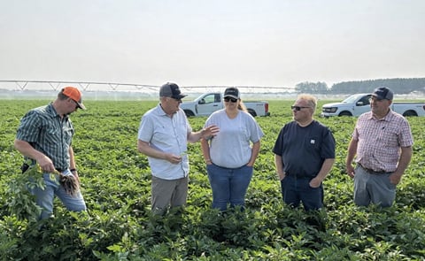 Dr. Neil Gudmestad speaks with members of the R.D. Offutt research team during a research trial near Staples. Pictured from left are RDO Farm Manager Nate Warmbold, Gudmestad, RDO Agronomist Annika Merkens, RDO Farm Manager Jake Jacobson and RDO Agronomist Jon Gilley Dr. Neil Gudmestad speaks with members of the R.D. Offutt research team during a research trial near Staples. Pictured from left are RDO Farm Manager Nate Warmbold, Gudmestad, RDO Agronomist Annika Merkens, RDO Farm Manager Jake Jacobson and RDO Agronomist Jon Gilley