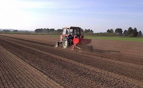 La Agrupación de los productores de Patata de Holanda, Bélgica, Reino Unido, Alemania y Francia, conocida como NEPG, ha calificado, en un reciente comunicado, la campaña 2020/2021 como un 'gran desafío' para los cultivadores. La Agrupación de los productores de Patata de Holanda, Bélgica, Reino Unido, Alemania y Francia, conocida como NEPG, ha calificado, en un reciente comunicado, la campaña 2020/2021 como un 'gran desafío' para los cultivadores.
