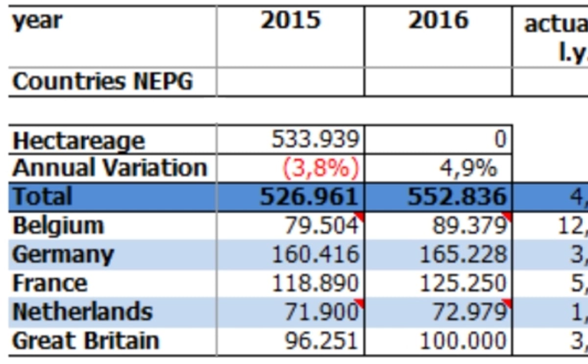 Potato acreage North-western Europe grown by 5 percent, estimates NEPG Potato acreage North-western Europe grown by 5 percent, estimates NEPG