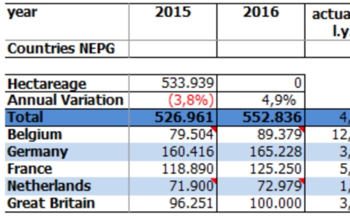 NEPG: Aardappel-areaal in Noord-west Europa groeit 5 procent NEPG: Aardappel-areaal in Noord-west Europa groeit 5 procent