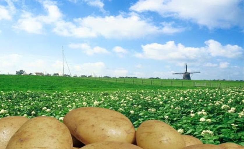 As of January 1, 2021 the North-western European Potato Growers (NEPG) underwent major changes