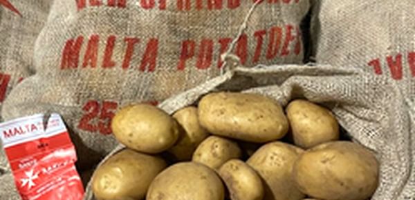 Big demand for import potatoes in the Netherlands.