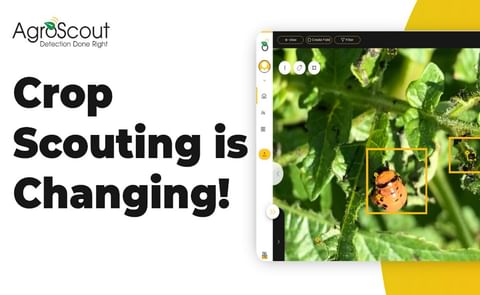 AgroScout now offers a complete Crop Scouting Package (Drone + Cloudbased Software). AgroScout now offers a complete Crop Scouting Package (Drone + Cloudbased Software).