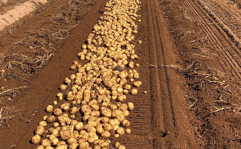 N.S. Couple Heeds The Call Of The Family Farm, Sets Down N.B. Roots